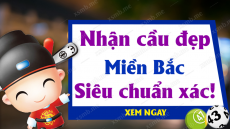 Thống kê Xổ Số Miền Bắc ngày 21/11/2023 - Phân tích XSMB 21-11-2023