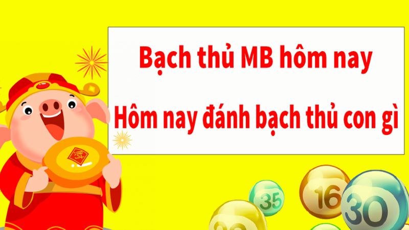 Thống kê cầu bạch thủ mới nhất trên Xoso.pw