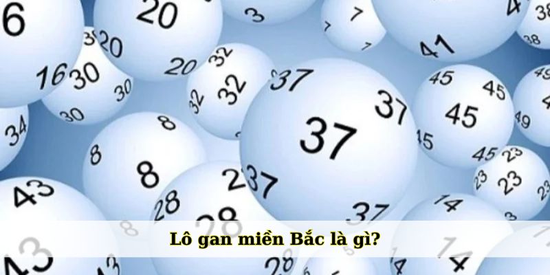 Lô gan miền Bắc là gì?