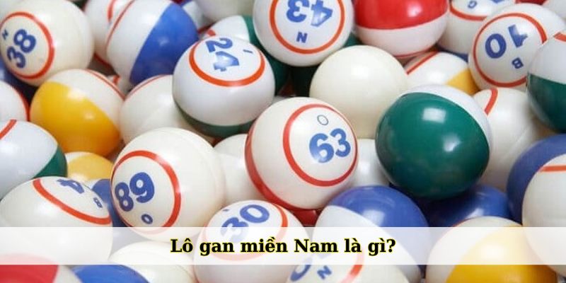 Lô gan miền Nam là gì?