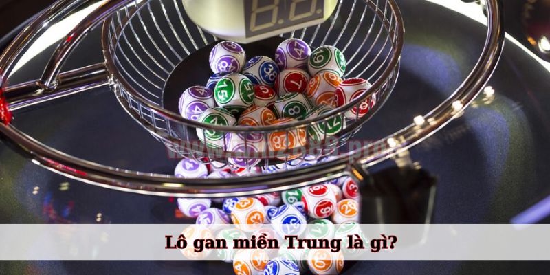 Lô gan miền Trung là gì?