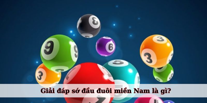 Giải đáp sớ đầu đuôi miền Nam là gì?