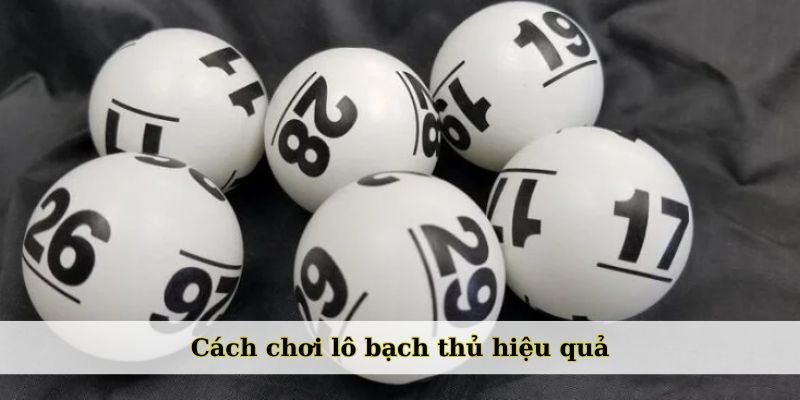 Cách chơi lô bạch thủ hiệu quả